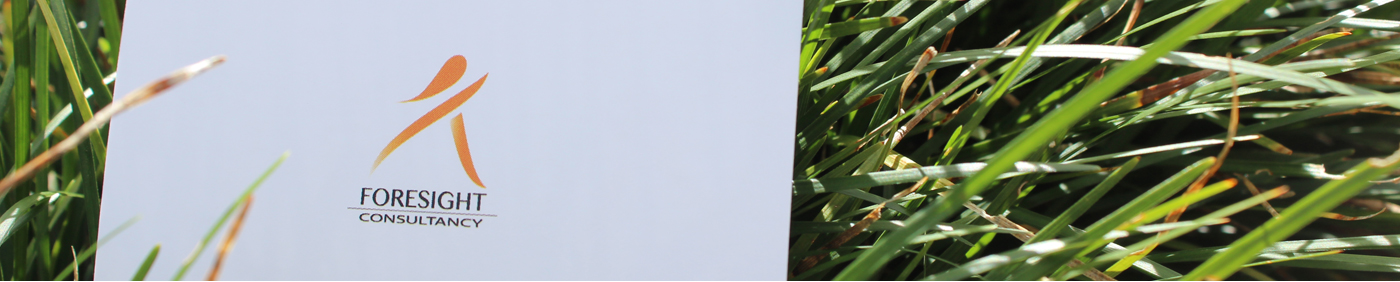 Foresight Consultancy